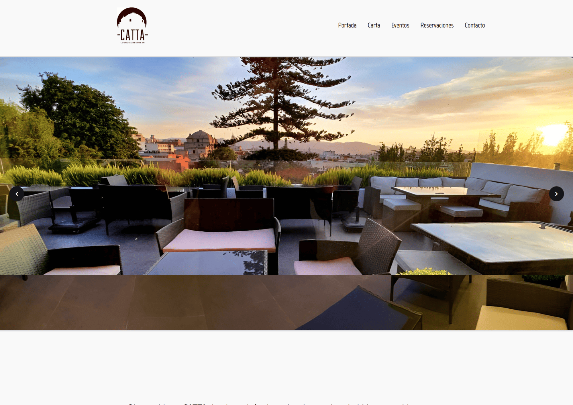 Website 1