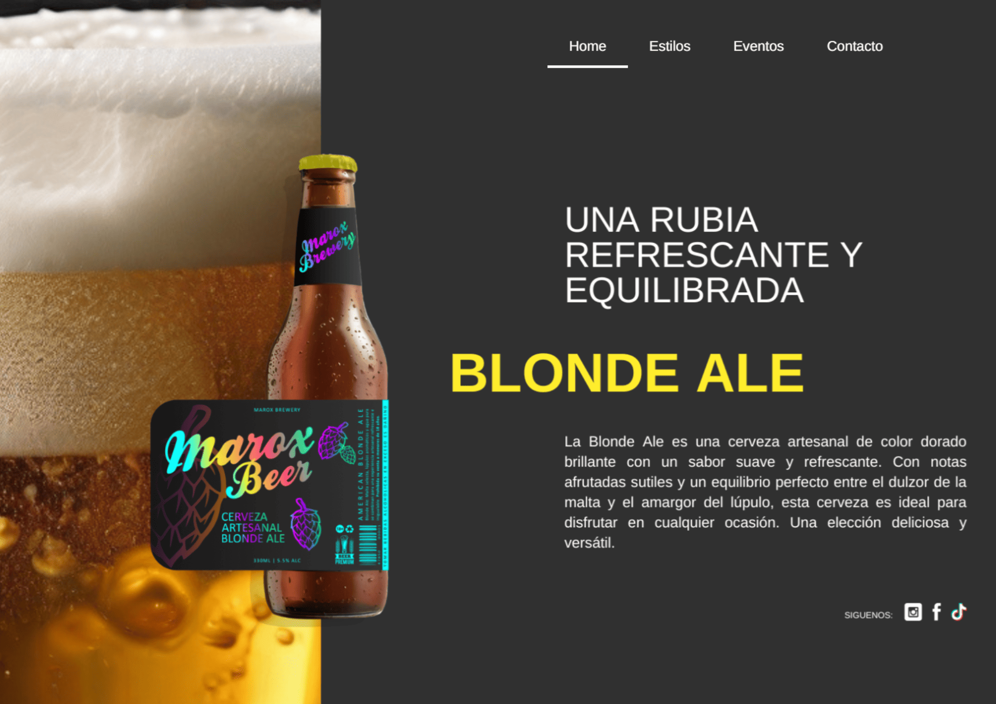 Website 1