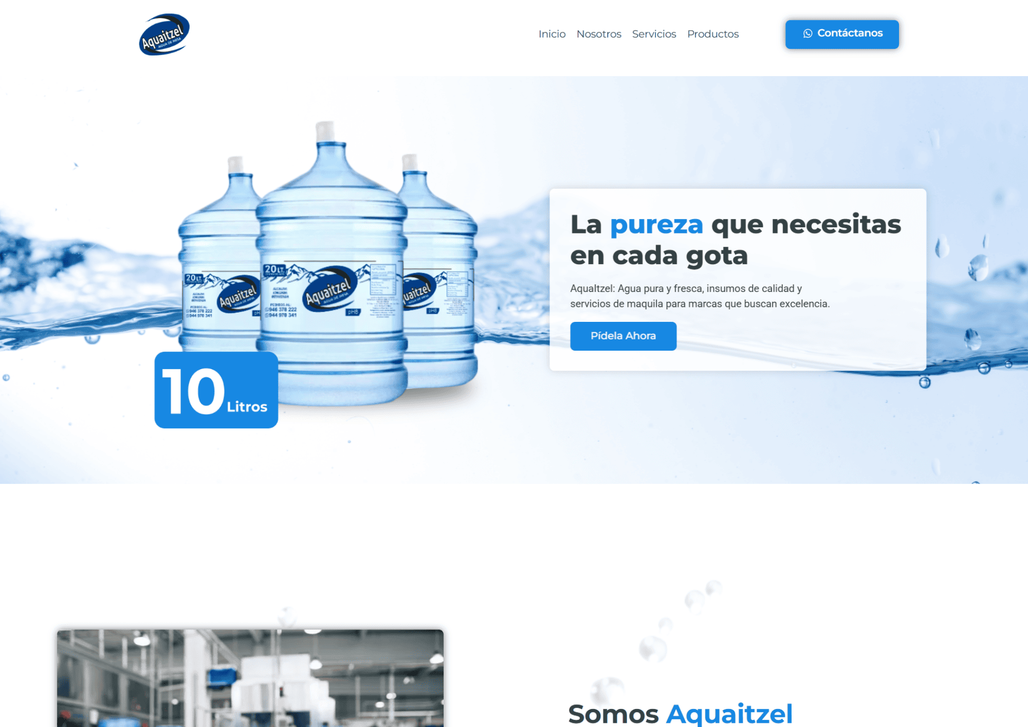 Website 1