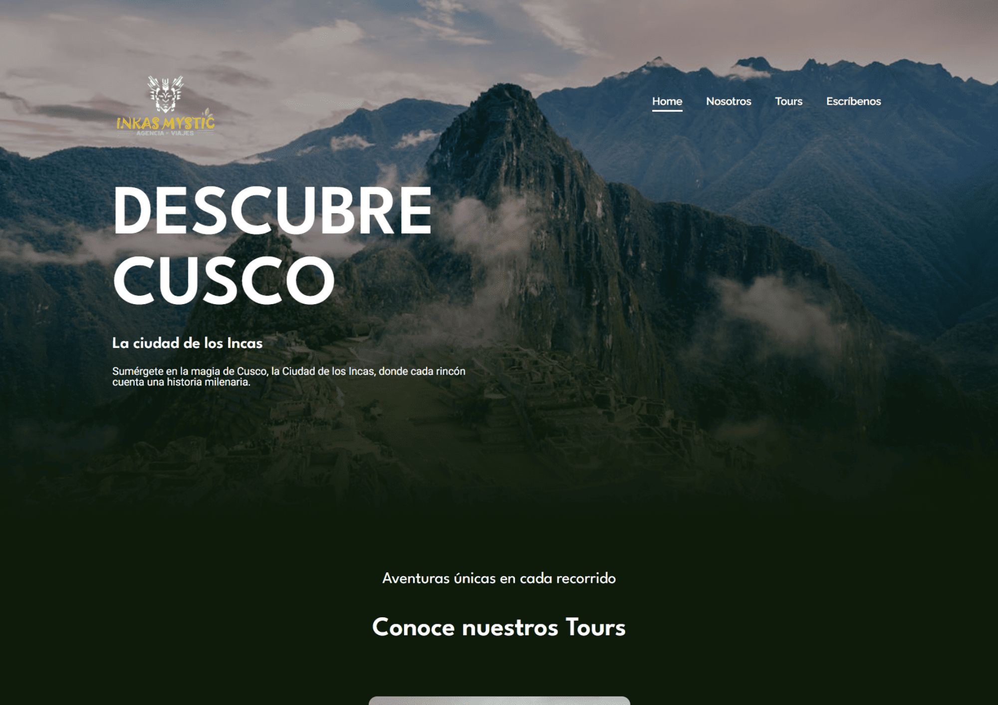 Website 1